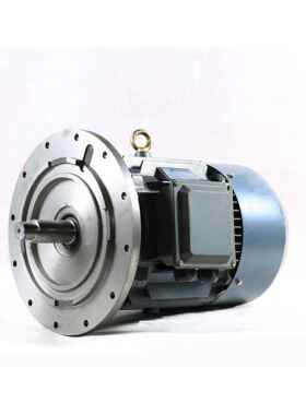 摆线减速机专用电机(YX3-160--200) 6#