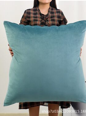 高端抱枕套X60x80沙发靠枕套罩X65x85天鹅绒靠垫X70x90不含芯X55