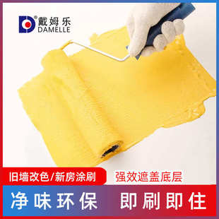 戴姆乐网红色乳胶漆室内家用墙面水性环保漆白色墙漆内墙修补刷墙