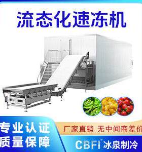 CBFI卧式冻机流态化速冻机洋葱圈小酥肉隧道速冻机厂家直销