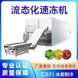 厂家直销CBFI卧式冻机流态化速冻机可定制麻辣小龙虾隧道速冻机