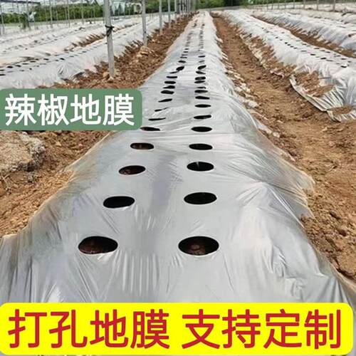 开孔地膜免打孔银黑色防草辣椒蔬菜豆角玉米农用羊肚菌塑料薄膜
