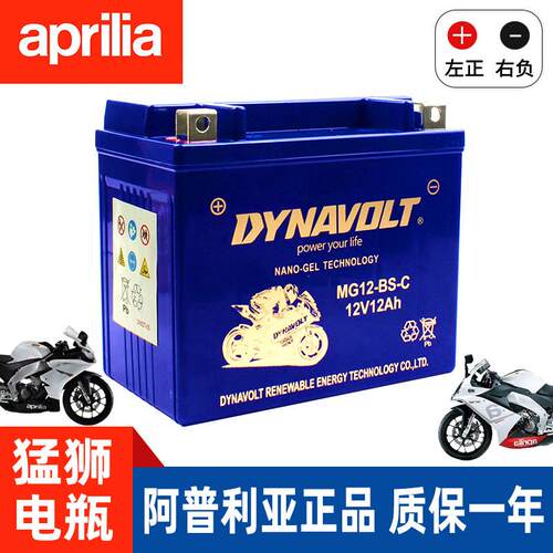 阿普利亚SRMAX250 SRMAX300 SR300 台风SR150ie比雅久X7原厂电瓶