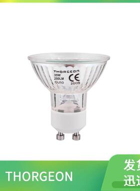 带点火器09006THORGEON壁灯泛光灯PRO筒灯19011-BL