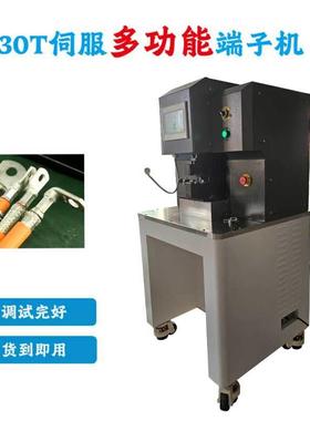 深圳厂家直销-YJJ69伺服压源接能机模30T新端子机六边压端机