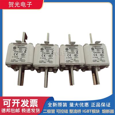 巴斯曼快速熔断器保险170M4063/4064/4065/4066/4067/4068/4069