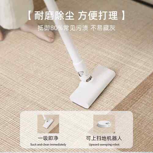 毯客地厅卧室20qr2008202新5款床边免洗可擦间房家用沙发防水防滑