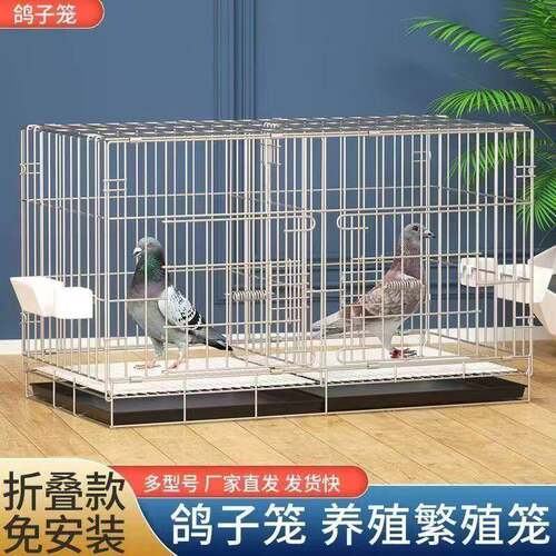 鸽子笼养鸽子专用笼养殖笼家用繁殖笼配对笼大号新型鸽舍鸽子笼子