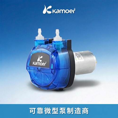 微型蠕动泵12v直流电机小型水泵家用电动抽水泵24v自动微型自吸泵