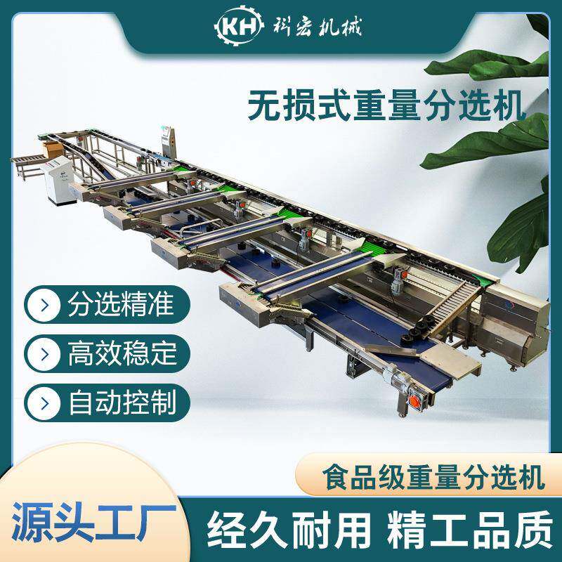 科宏机械无损式重量分选机菠萝水蜜桃智能分选重量分拣