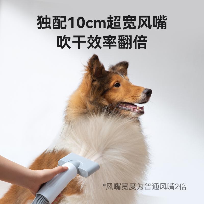 霍曼宠物吹水机狗狗烘干吹风专用吹干自动吹毛犬洗澡家用静音