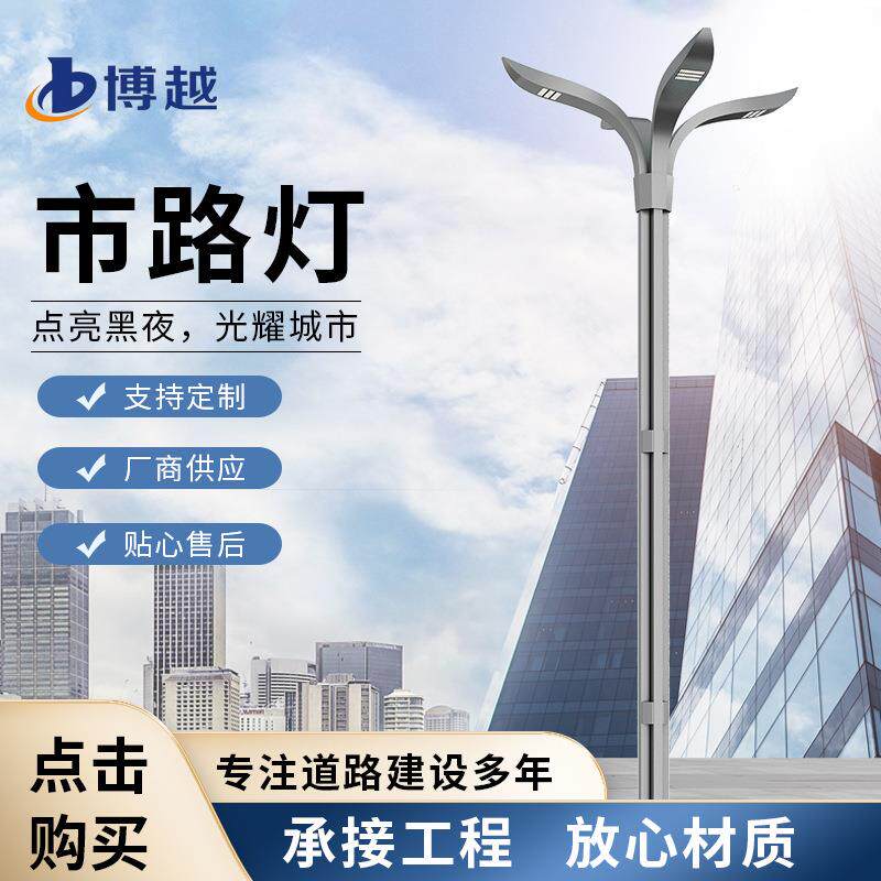 led市电路灯6米8米10米户外道路照明中华灯板超亮