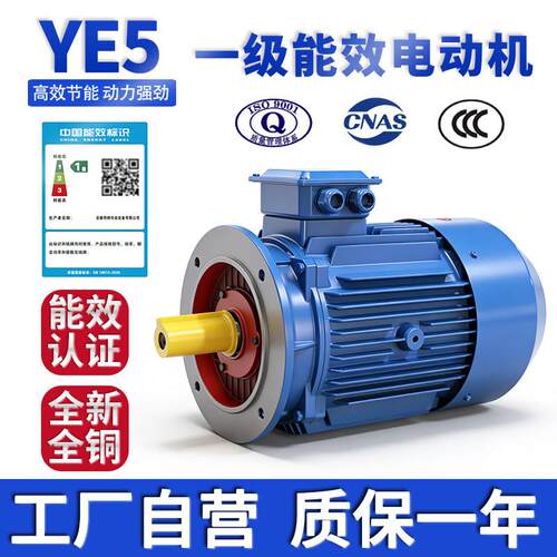 YE5一级能效电机380V三相异步马达0.75~355kW高效节能全铜电机