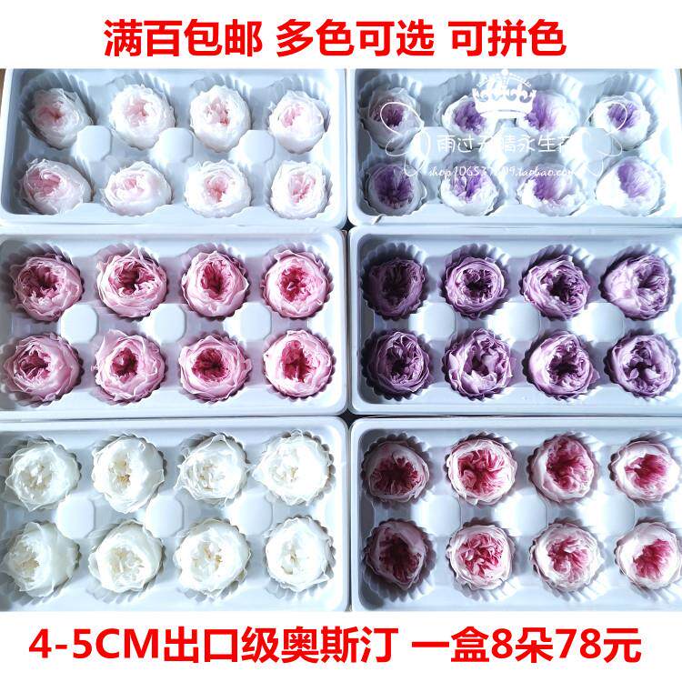 AAA出口级永生花奥斯汀玫瑰 DIY材料包 4-5CM一盒8朵