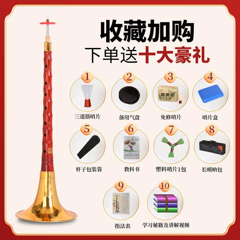 王家彪红檀木唢呐器学者D调降B调全叭套专业喇乐大RIS小初演奏型
