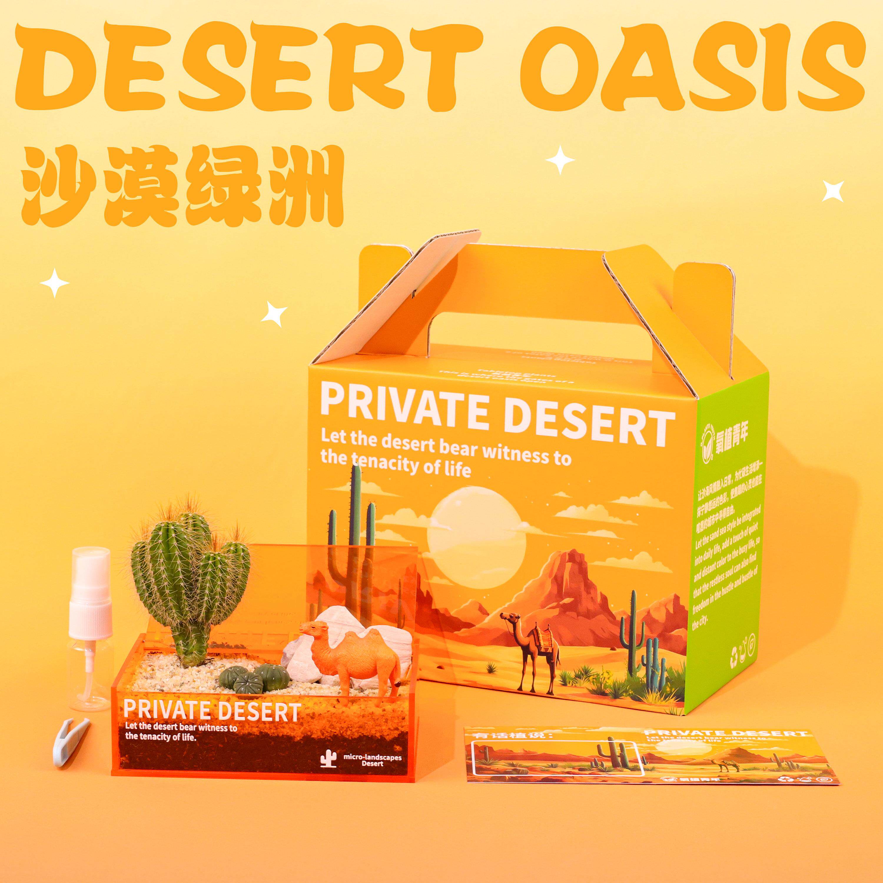 氧植青年沙漠绿洲微景观仙人掌多肉工位桌面植物创意摆件礼盒礼物