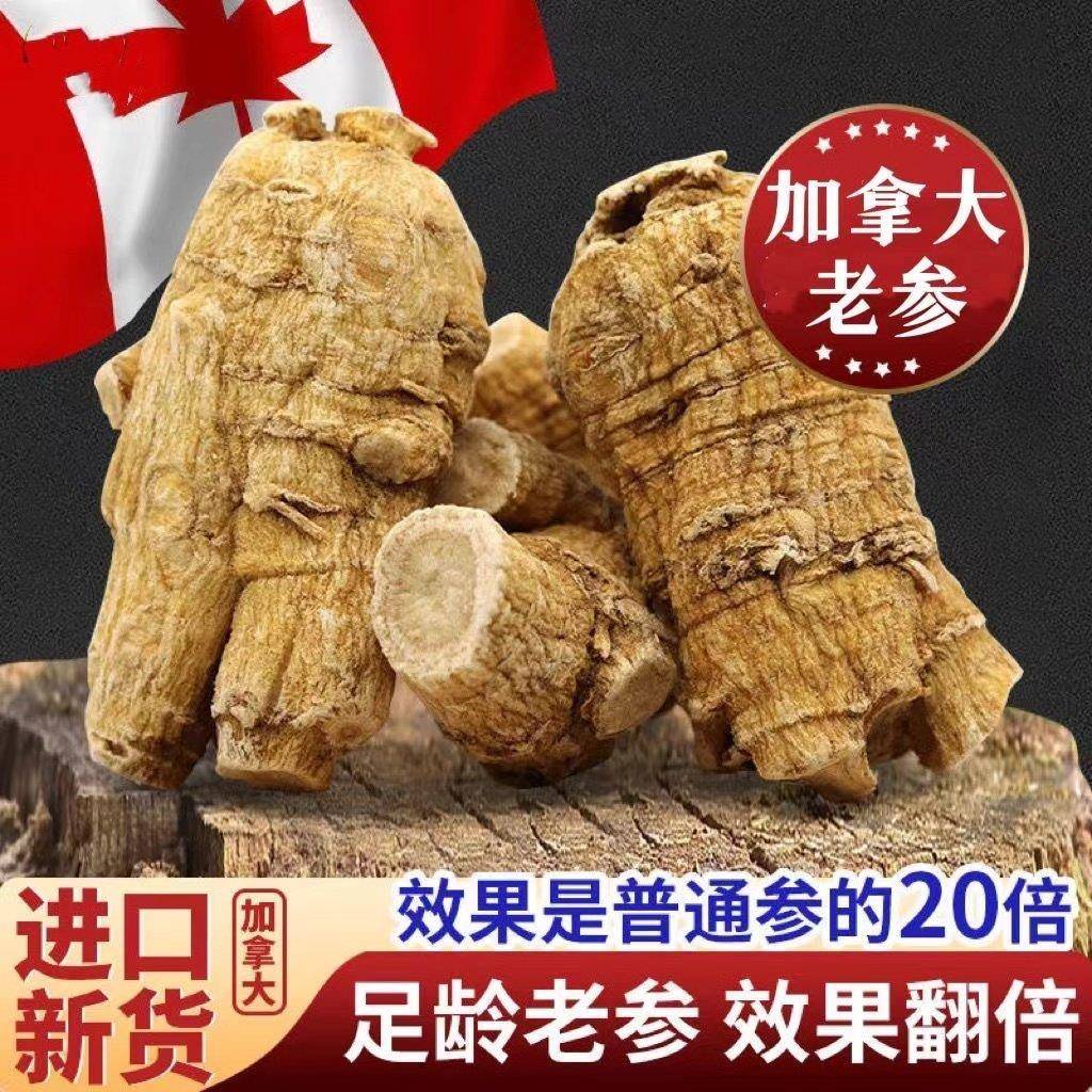 纯加拿大西洋参粒头正宗加拿大花旗参段支大颗粒西洋参片可代打粉