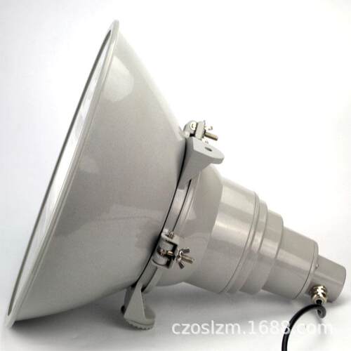 NTC9200防震型超强投光灯 港口码头龙门吊塔灯 三防金卤灯1000W