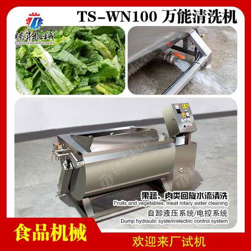 万能全自动翻斗清洗机 肉类蔬菜清洗设备 商用气泡果蔬清洗机