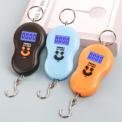 50kg Backlit Hanging Scale, Portable Mini Fishing Handheld S
