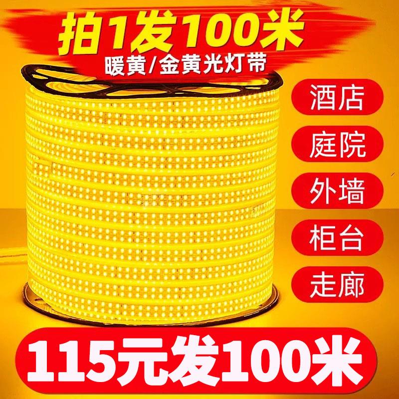 金黄光灯带LED灯条室外超亮氛围灯别墅外墙夜景100米装饰跑马灯带图片