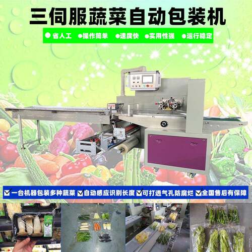 厂家直供三伺服蔬菜包装机水果包装机枕式械全自动分装
