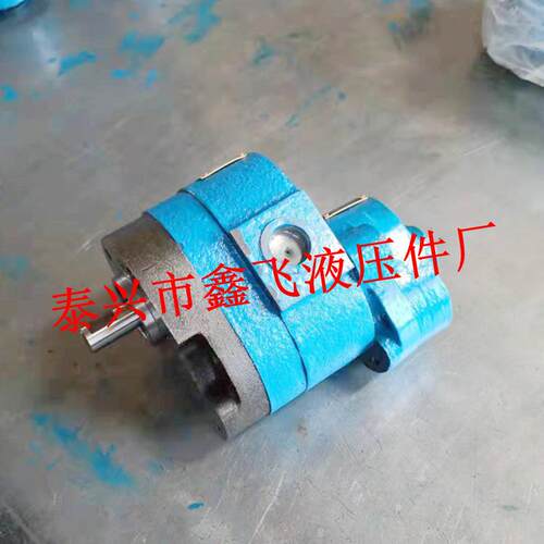 CB-B16/6 B20/6 B25/6 10 4低压双联齿轮油泵上海机床厂磨床泵
