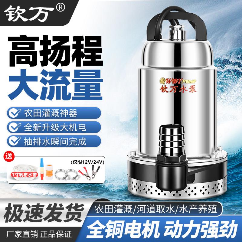 钦万高扬程大电机直流潜水泵电瓶12V24V电动车48V60V72V大流量