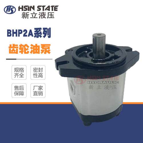 齿轮泵BHP2A0D16C0L1/D1O/D12/D14/D18/D20/D22/D25/D28/D30C0L1