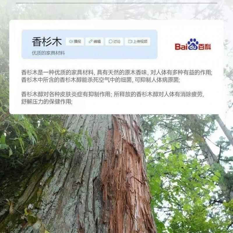 实木叠板床排骨折架潮加872厚条床板静音防透气护腰杉木板