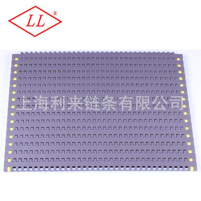 上海利来T-700平板网带链纸箱罐头输送网带