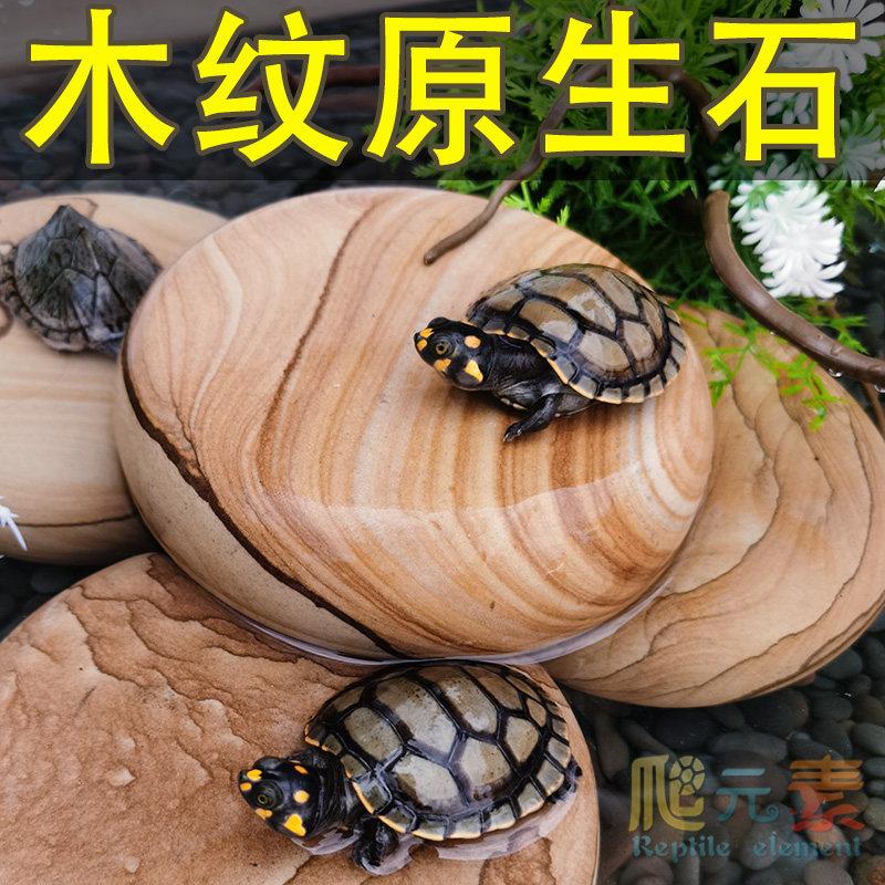 鱼缸造景石乌龟缸晒台晒背台天然木纹原生石装饰底砂石材发色石头