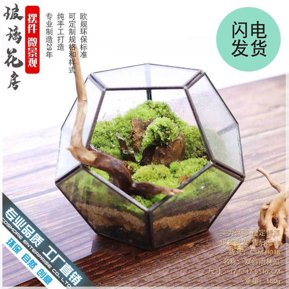 厂家直销中微花房玻璃体款景观爆多绿透明创意十二面苔藓花盆植肉,鲜花速递/花卉仿真/绿植园艺,花盆,淘宝优惠券,粉丝福利购,淘宝优惠卷