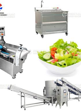 生产果蔬类全自动气泡清洗机蔬菜类切割机全自动上料出料脱水