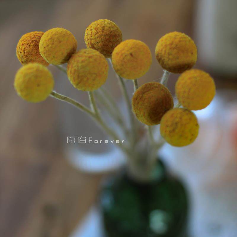 天然风干真花黄金球干花婚庆花束装饰花材家居民宿插花摆设金槌花
