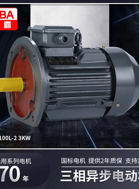 3w立式全铜芯无刷电机马达YE3/YX3系列水泵交流三相异步电动机