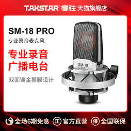 takstar得胜sm-18pro电容麦克风，k歌喊麦直播设备，专业录音话筒