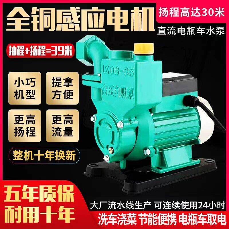 小型直流潜水泵抽水机家用12v48v60v72v电瓶电动车农用无刷自吸泵