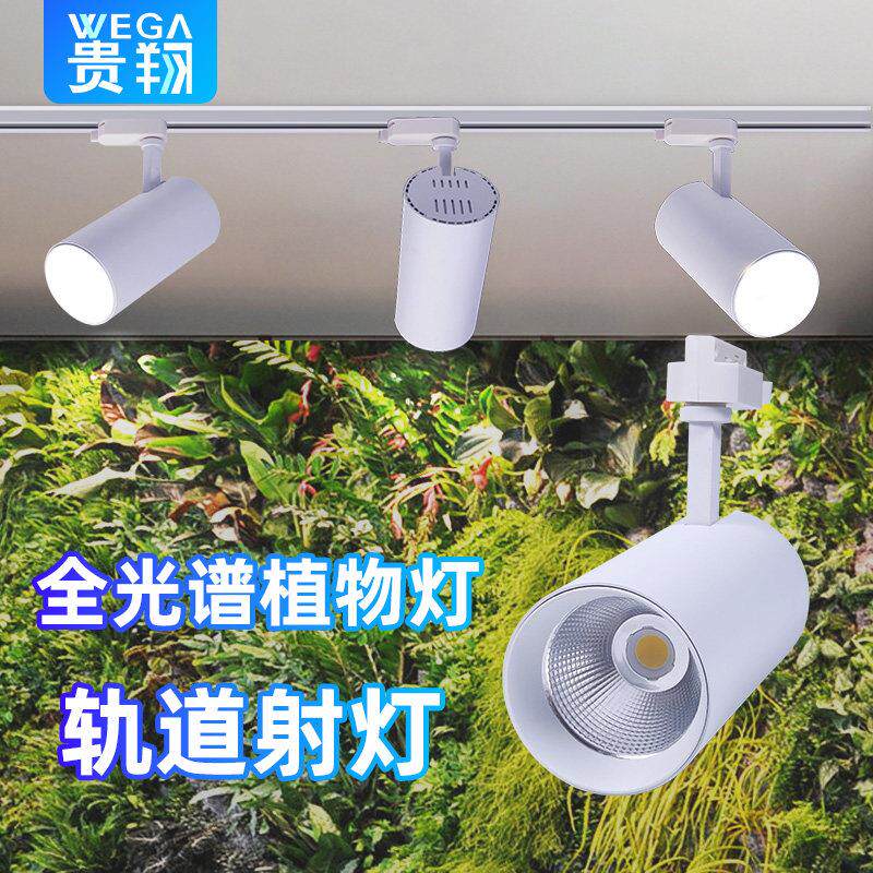 植物生长灯射灯龙舌兰雨林缸室内全光谱彷太阳光轨道植物墙补光灯