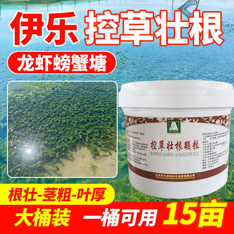 疯长叶水产水草烂藻救星大专用伊塘高温水草生根乐壮苗黄叶小龙虾