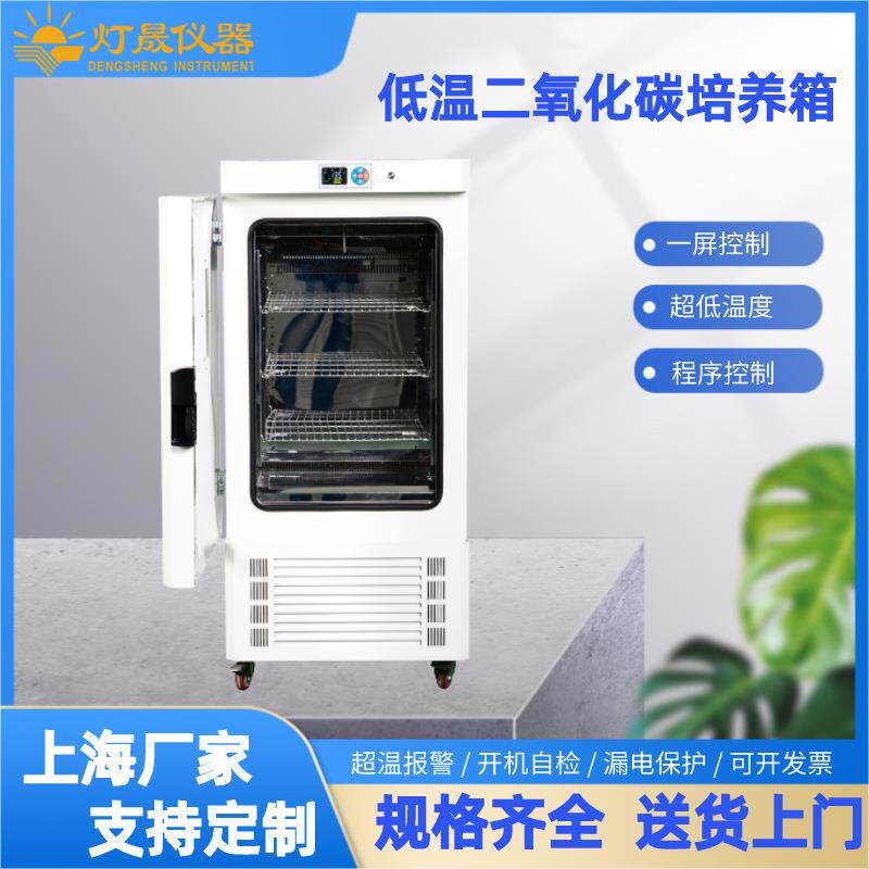 低温二氧化碳培养箱细胞细菌微生物培养箱厂家支持非标设计制造