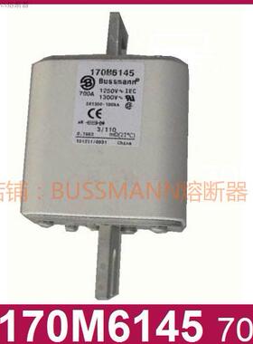 170M6145170M6146170M6147170M6148170M6149170M6151熔断器同人AI