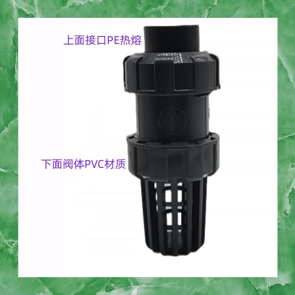 PE热熔底阀 UPVC球型底阀水管抽水泵立式止回阀工业PE加PVC花篮头图片