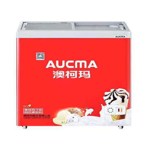澳柯玛 商用冷冻柜 小型雪糕柜 SD-200FC