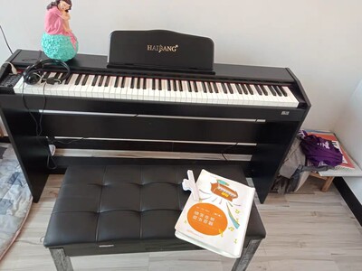 大家说说海邦钢琴电钢琴88键重锤怎么样，是不是真的很好吗？