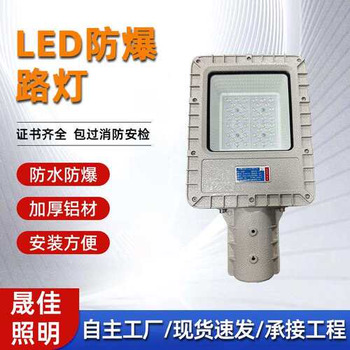 防爆路灯LED隔爆型照明灯100W加油站化工厂户外道路高杆路灯头