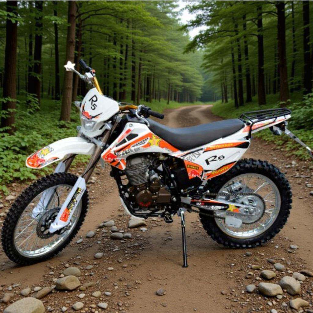 厂家直销250CC越野车山地摩托车两轮赛车燃油沙滩车全地形车机车