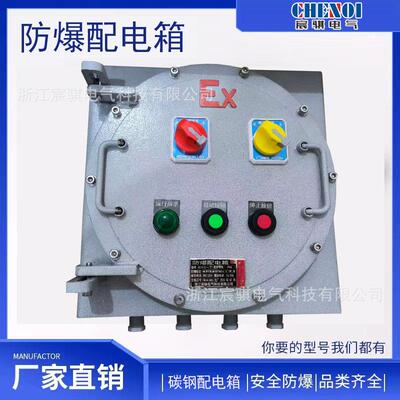 BXK防爆控制箱IIC电源控制箱插座 动力照明箱 三相电子配电箱