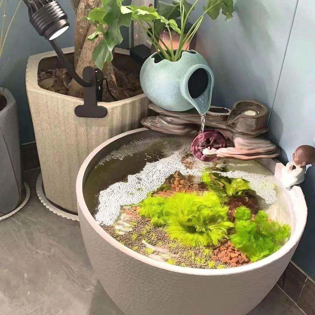 荷花塑料特大号花盆树脂加厚养鱼种树简约莲藕睡莲庭院鱼缸家用