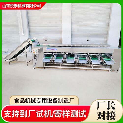 食品滚杠式选果机西红柿土豆筛果滚杠分拣机洋葱苹果分选设备